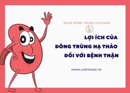 Công dụng của đông trùng hạ thảo đối với người bệnh thận