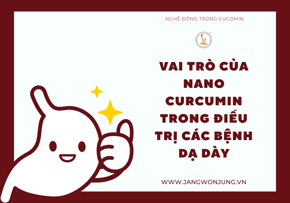 Vai trò của Nano Curcumin trong việc hỗ trợ điều trị các bệnh dạ dày?