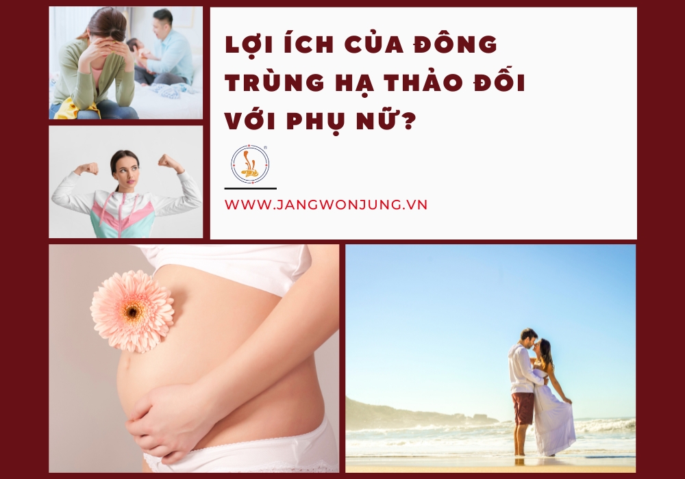 Lợi ích của đông trùng hạ thảo đối với phụ nữ?